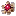 картинка Lotus Orb
